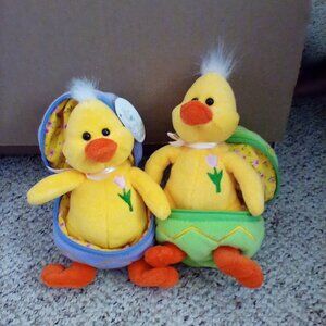 Chicks from march of dimes